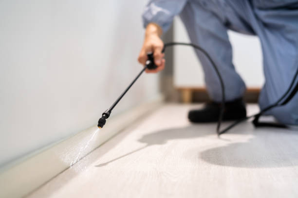 Licensed Rodent Control service in Simpson County County, MS - Nex Pest Control